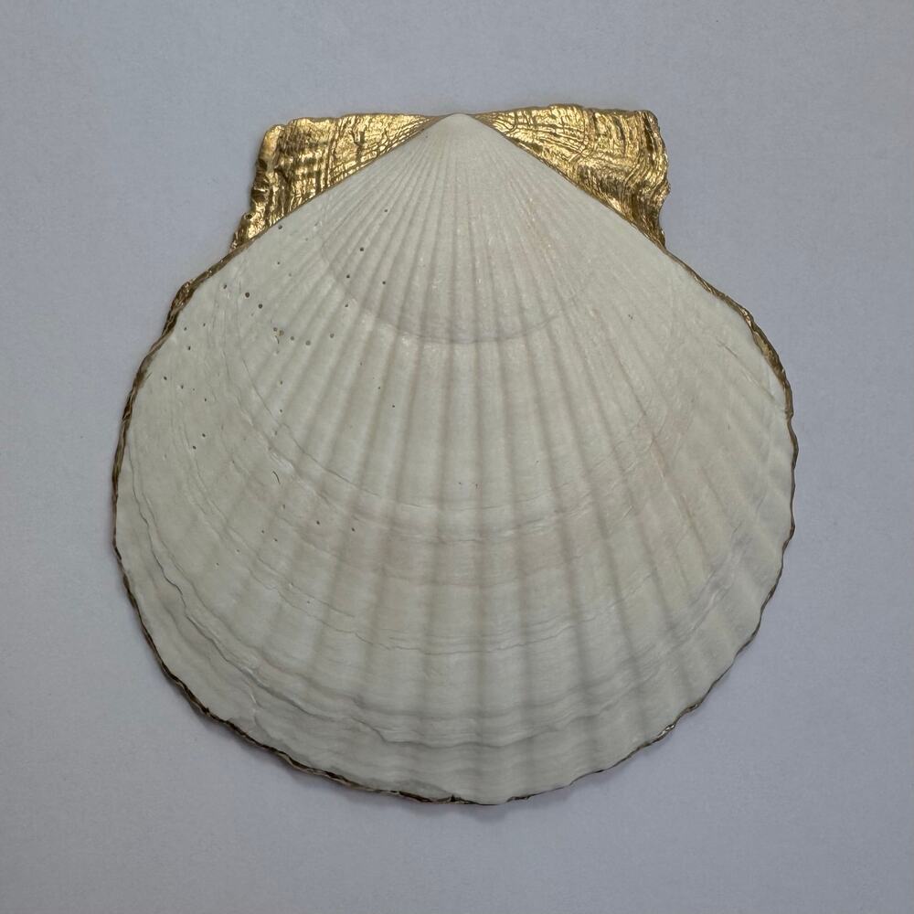 Blue Toile Botanical Shell Trinket Dish - Picture 5 of 5